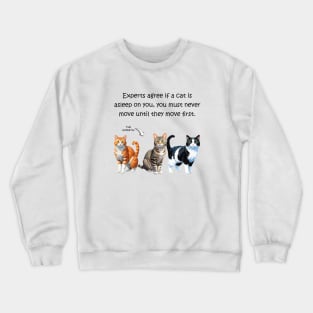 Experts agree if a cat is asleep on you, you must never move until they move first - funny watercolour cat design Crewneck Sweatshirt